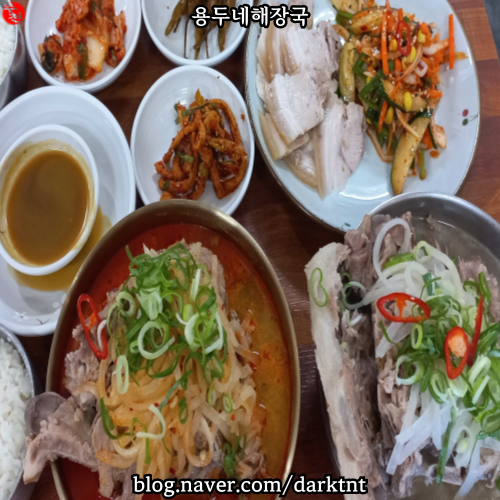제주 우무 접짝뼈국 아침식사 용두네해장국 제주공항 근처 맛집