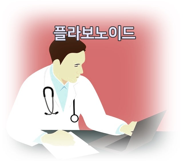 플라보노이드 효능 및 음식 정리