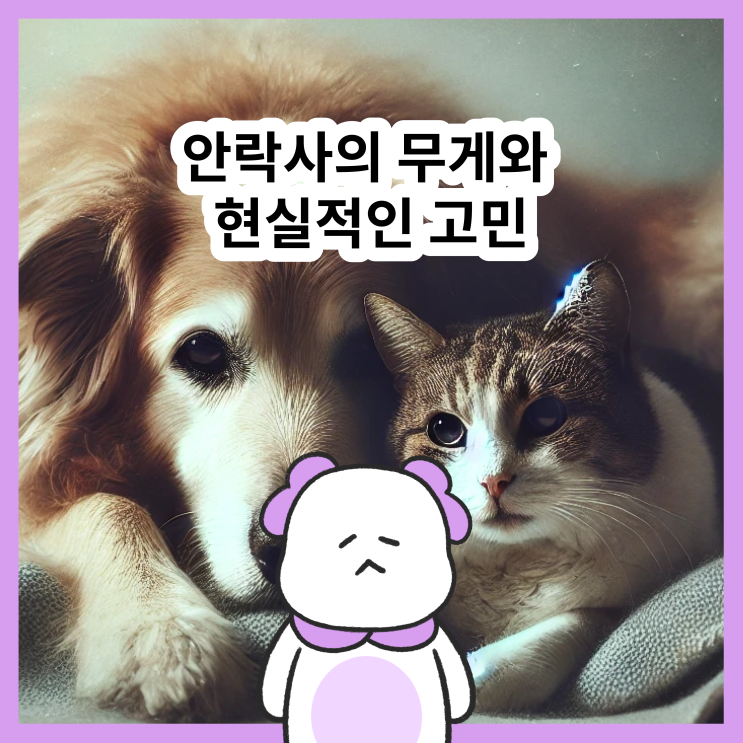  노견 안락사 비용, 절차, 고민 / 반려묘 안락사 / 노령견 안락사