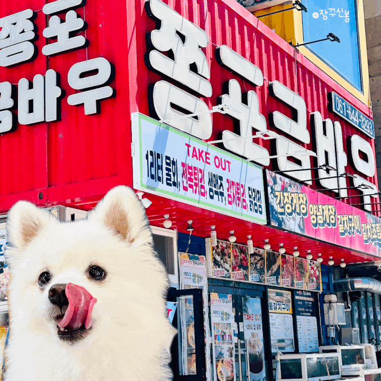 여수 이순신 광장 애견 동반 식당 쫑포 금바우 대패 삼겹살, 게장, 갈치조림을 한번에 여수 이순신 광장 애견 동반 식당 쫑포 금바우 대패 삼겹살, 게장, 갈치조림을 한번에