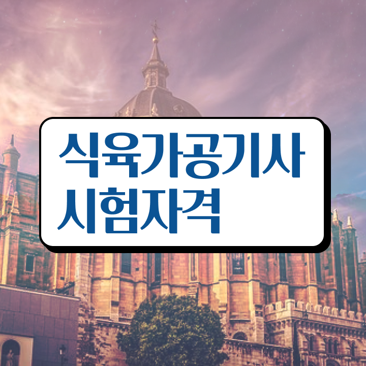  식육가공기사 응시자격 인강으로 간편하게 준비한 후기
