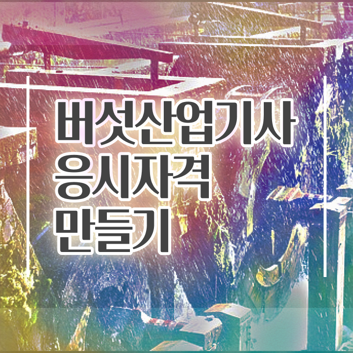  버섯산업기사 응시자격 학점은행제로 15주만에 성공한 비법