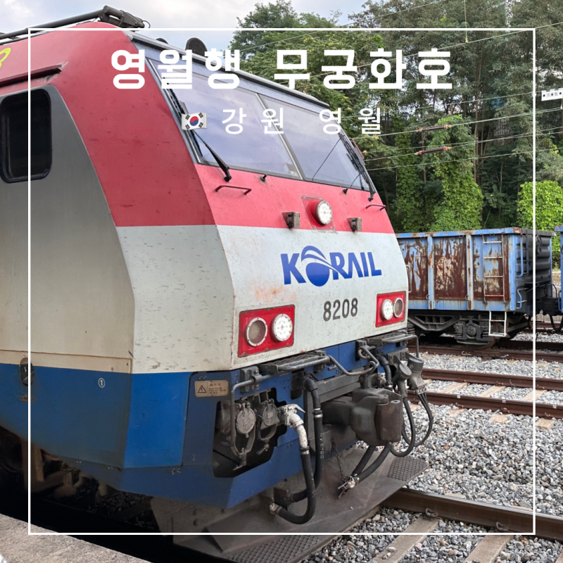 무궁화호 좌석 추천 충전 영월행 예매 입석 명당 콘센트 화장실 애견동반