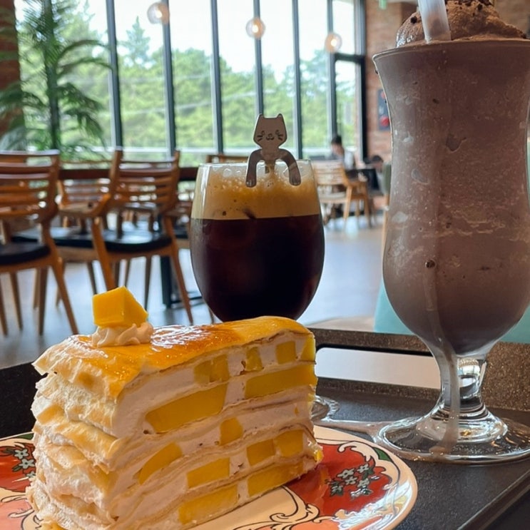  강릉대형카페 허씨커피 솔밭뷰맛집
