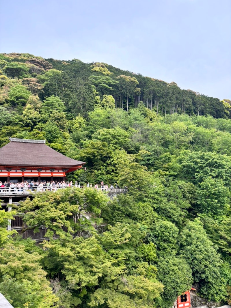 일본/오사카] 오사카 여행 1일차 (덴노지 코인라커, 우지 뵤도인, 후시미이나리신사, 인센스, 키무카츠) : 네이버 블로그