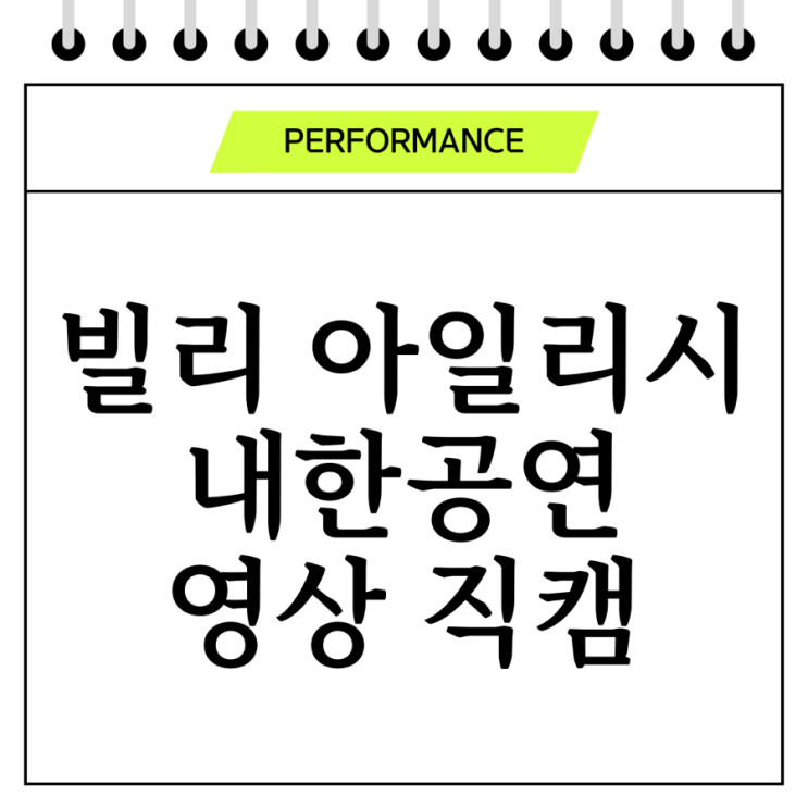  빌리 아일리시 내한공연 영상 모음(직캠 vr)