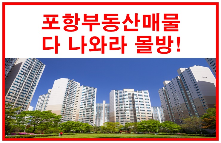  포항부동산전문사이트#몰방#아파트/토지/주택/상가/분양권/입주권#포항부동산플랫폼사이트