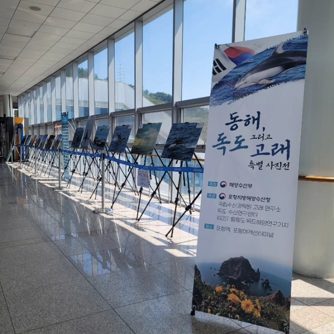  포항KTX역 동해 독도 그리고 고래 사진전