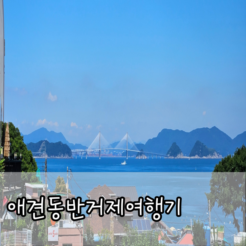 사진 8