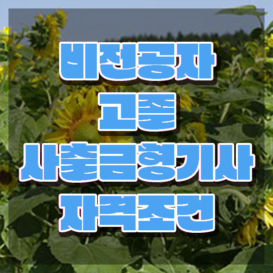  사출금형기사 사출금형기사 응시조건 온라인 수업으로 단기간에 성공한 비법