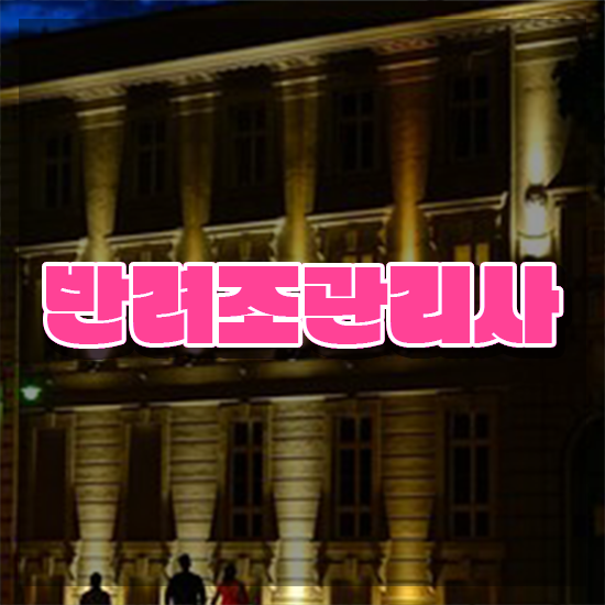  사랑앵무 수명 , 반려조관리사 자격증 한달 만에 합격한 전략 및 활용 방법