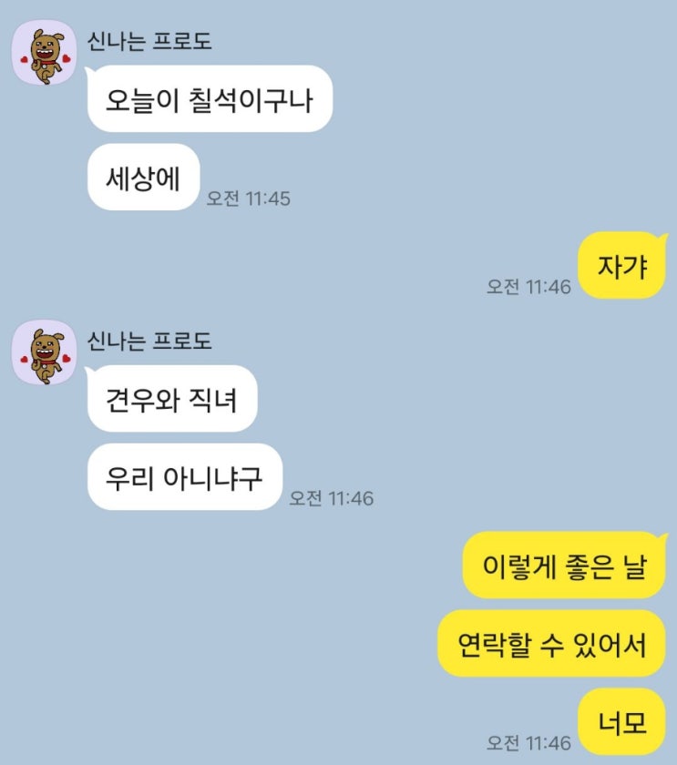  포토덤프챌린지 일상 찰나를 모으기