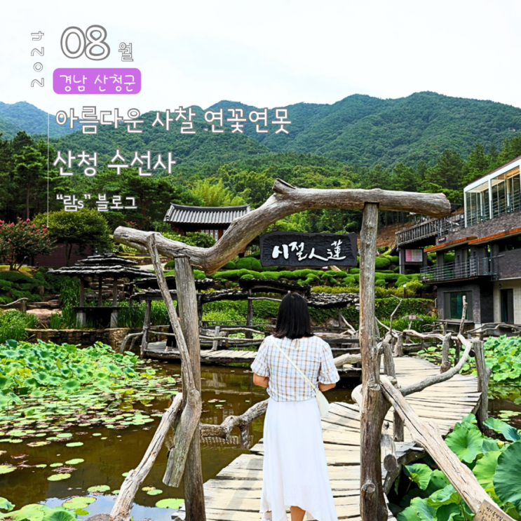  경남산청 수선사 연꽃 정원과 아름다운 카페 사찰