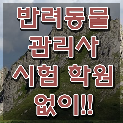 제주도 반려동물 장례 , 반려동물관리사 자격증 단기간에 준비한 과정 여기서 확인하세요