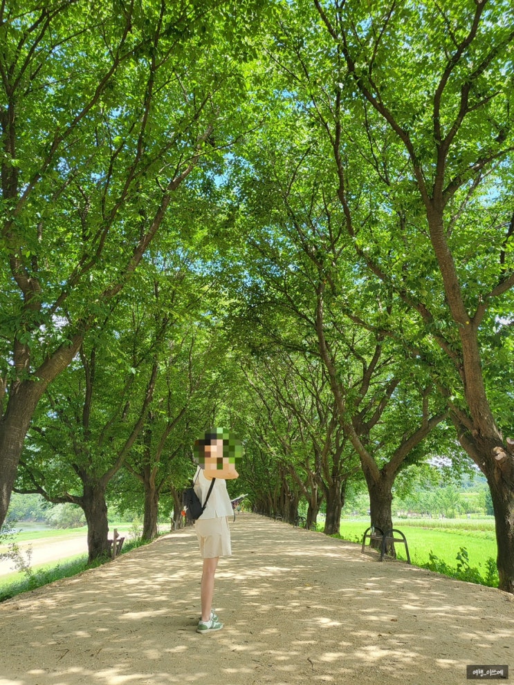  안동 가볼만한곳 하회마을 입장료 관람코스 및 소요시간