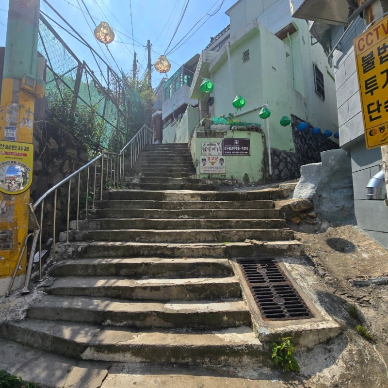 사진 2
