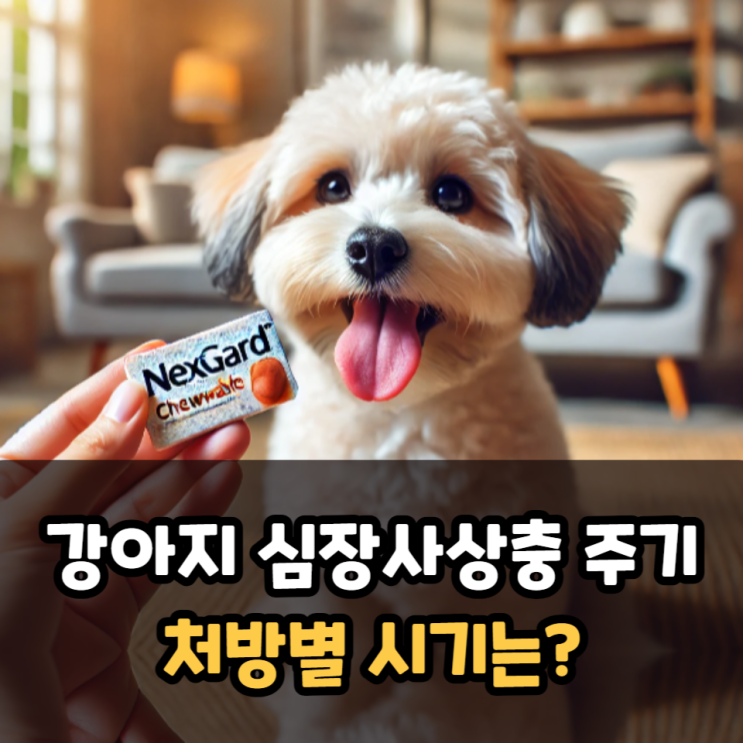  강아지 심장사상충 주기 시기는?