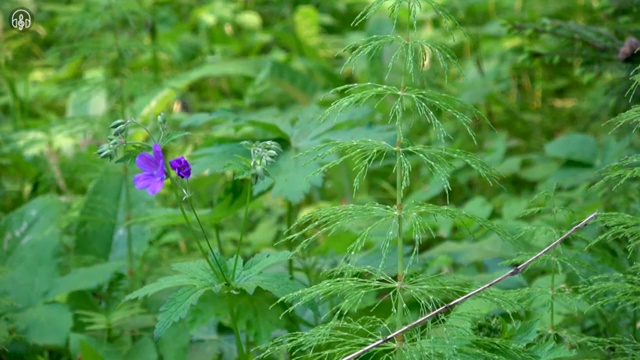  수산물 품질관리사 자격증 , 쉽게 준비했던 팁
