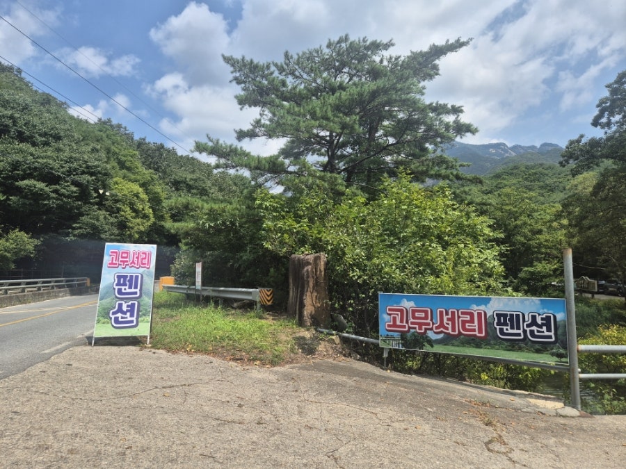 고무서리펜션 사진 1