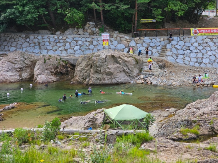  강원도 백담계곡 주차 수심 스노클링 딱 좋아! 물고기 많아요