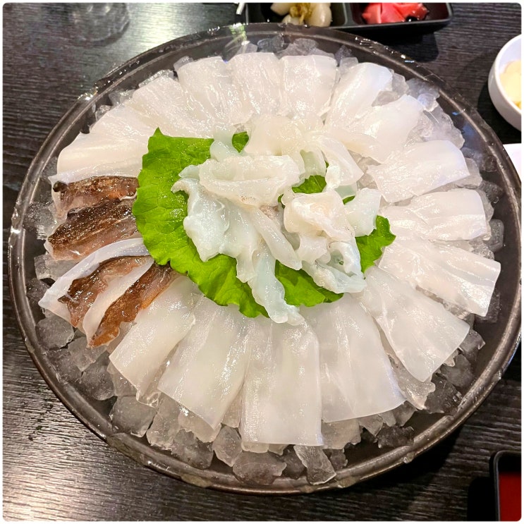 오징어회 가격 제철 갑오징어회 칼로리 오징어회 가격 제철 갑오징어회 칼로리
