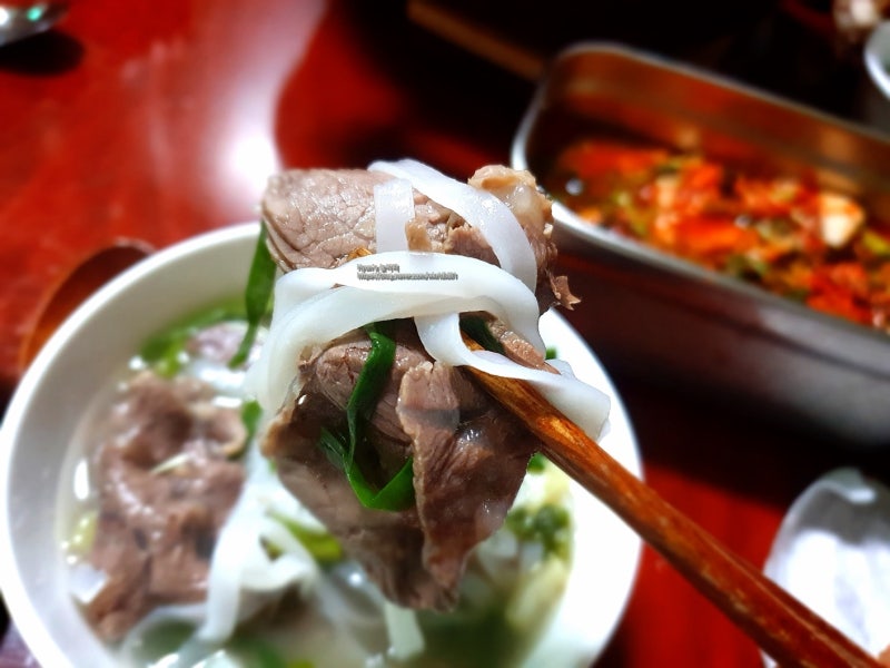 햄지 사태스지수육&소 꼬리찜_기승전골 햄지 수육 내돈내산