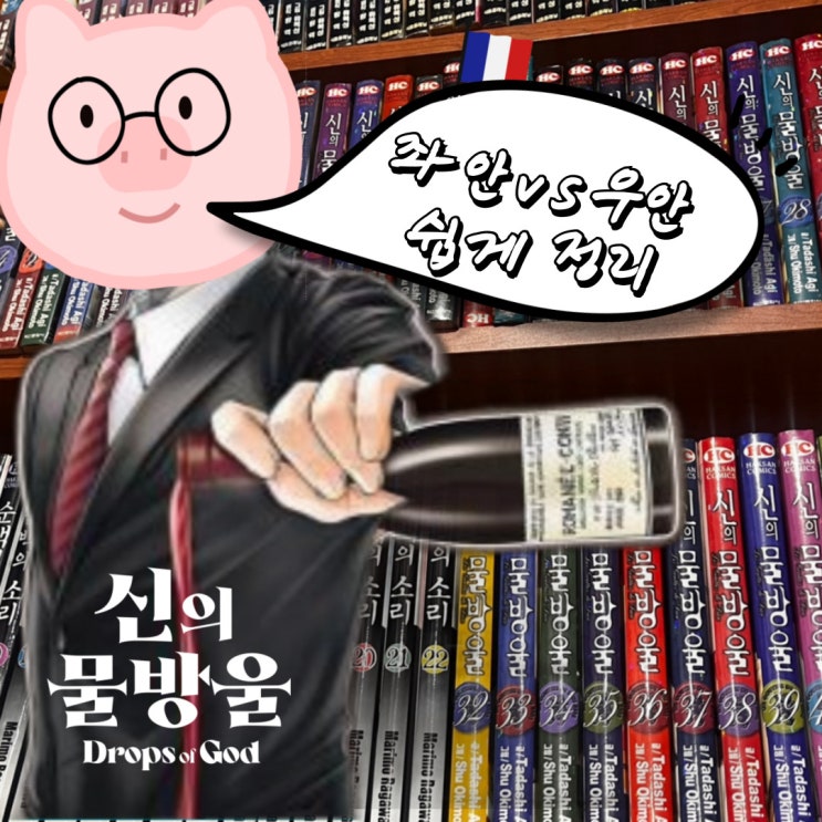  보르도 와인 좌안 vs 우안 특징 정리해드립니다 (+등급, 비교테이스팅)