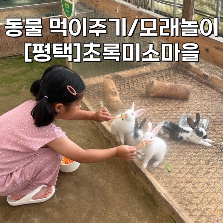  [경기도 평택] 먹이주러갔는데 모래놀이까지 ? 럭키비키 동물농장 초록미소마을 힐링가든