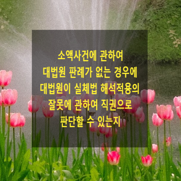  소액사건에 관하여 대법원 판례가 없는 경우에 대법원이 실체법 해석적용의 잘못에 관하여 직권으로 판단할 수 있는지