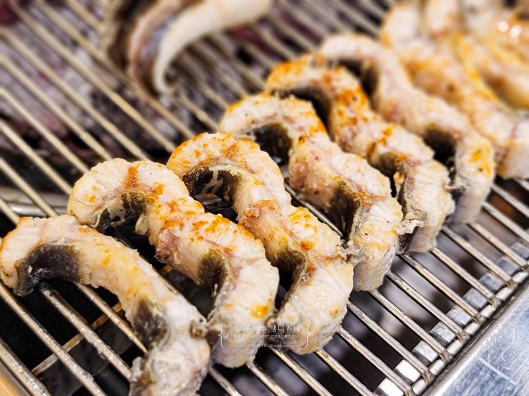  광주 장어 맛집 장어명가 청산 북구점 민물장어