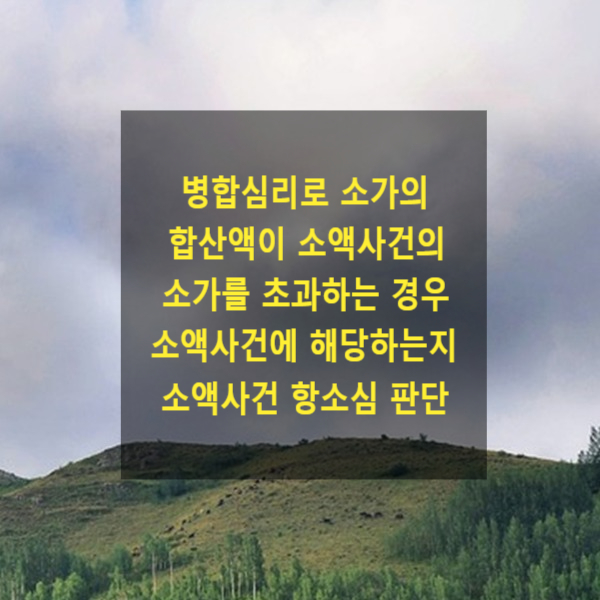  병합심리로 소가의 합산액이 소액사건의 소가를 초과하는 경우 소액사건에 해당하는지(소액사건 항소심 - 법령, 판례 위반)