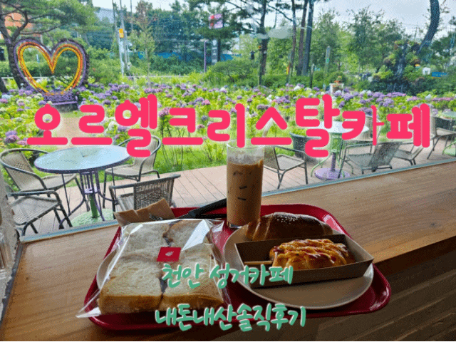  오르엘크리스탈카페 천안성거카페 내돈내산솔직후기