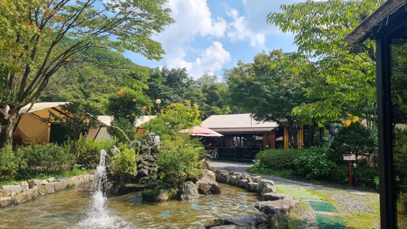 사진 6