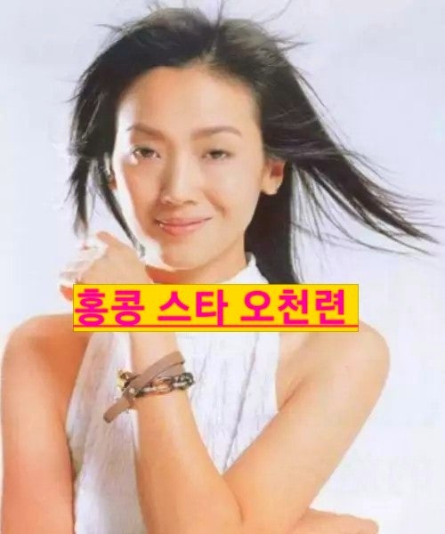  오천련 90년대 홍콩의 채정안 천장지구 천약유정 신조협려 프로필 배우자 작품활동 근황