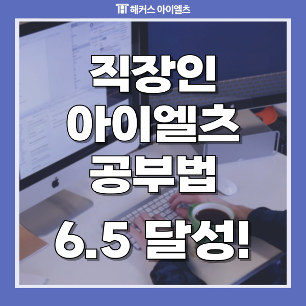  IELTS 6.5 달성한 직장인 공부법