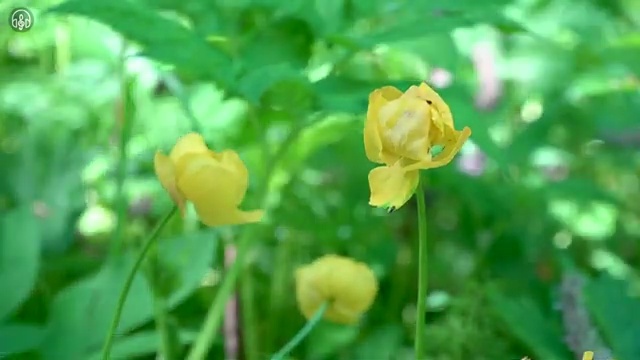  웨딩플래너 연봉 이미지 , 웨딩박람회 일정 총정리 스드메 패키지 살펴보는 노하우