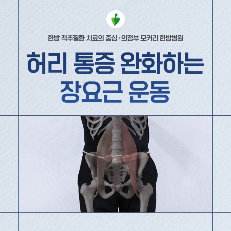  사무실에서 할 수 있는 허리 통증 완화 운동, 장요근 풀라공 운동 | 의정부 모커리한방병원