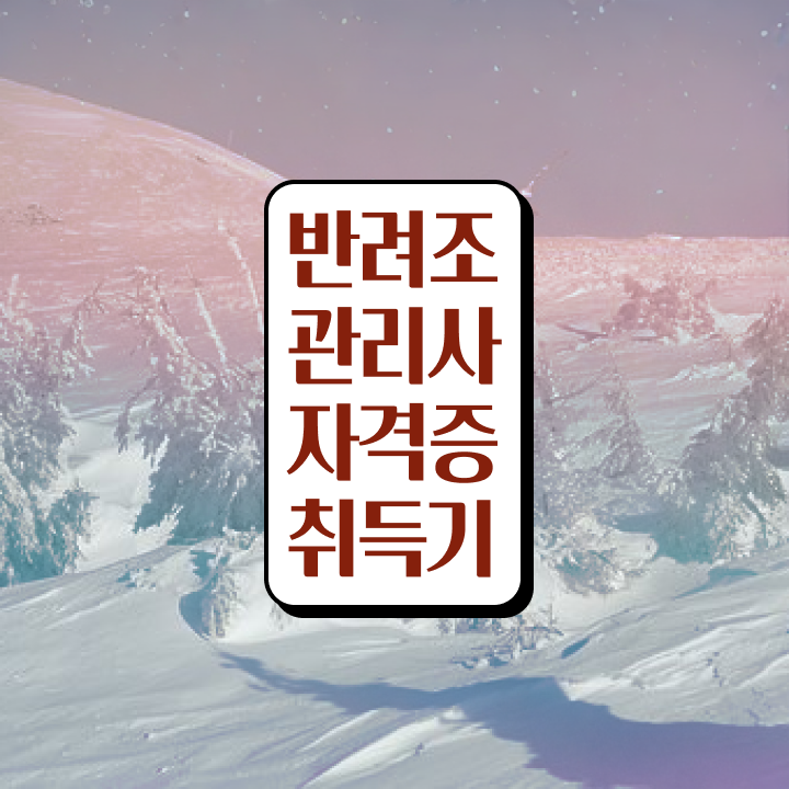  대형 앵무새 종류 , 반려조관리사 자격증 쉽고 빠르게 취득한 방법 핵심 정보 가득