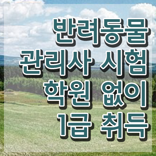  애완견자격증 , 반려동물관리사 자격증 20일 만에 취득한 과정 완벽 정리