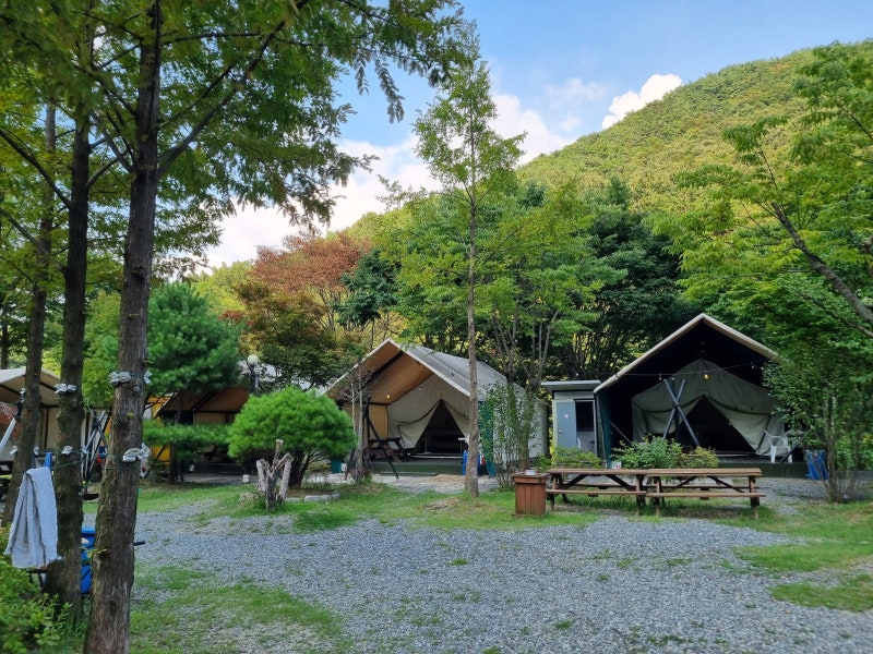 사진 5