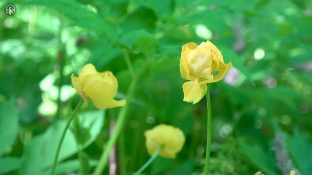  8세 엘리하이로 문제 없어요