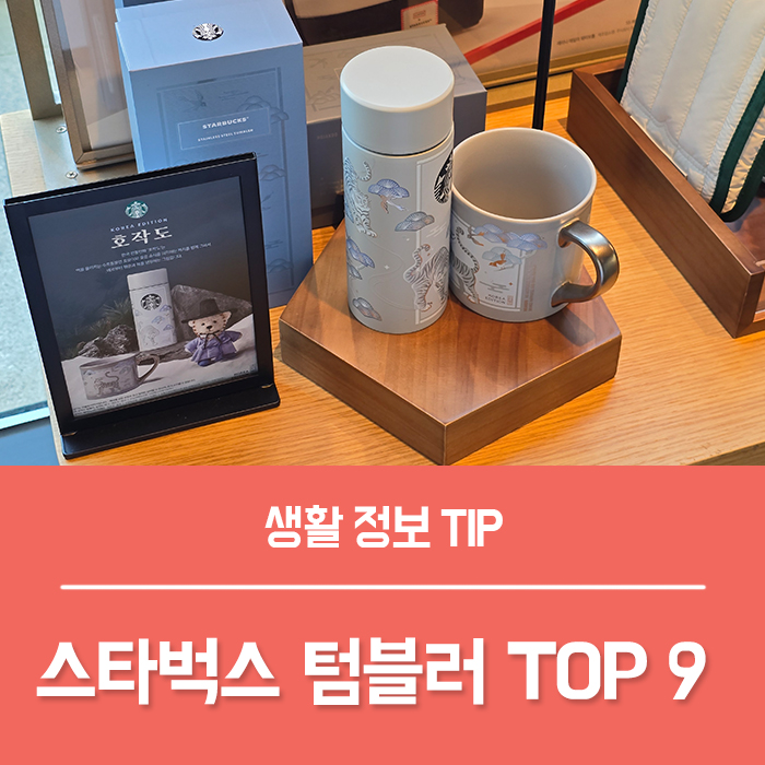  스타벅스 텀블러 가격 9가지 스벅 텀블러 추천, 서울 부산 스탠리 미르 특징 총정리!