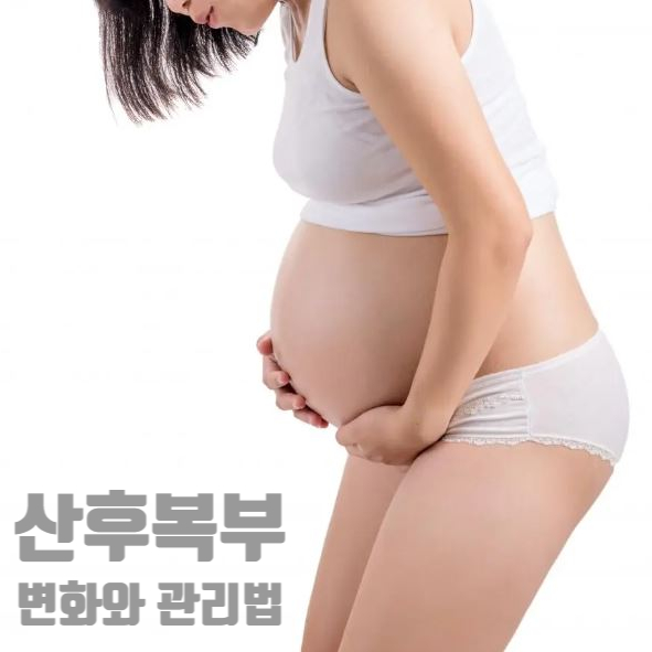  산후 복부 변화와 관리 (Introduction)