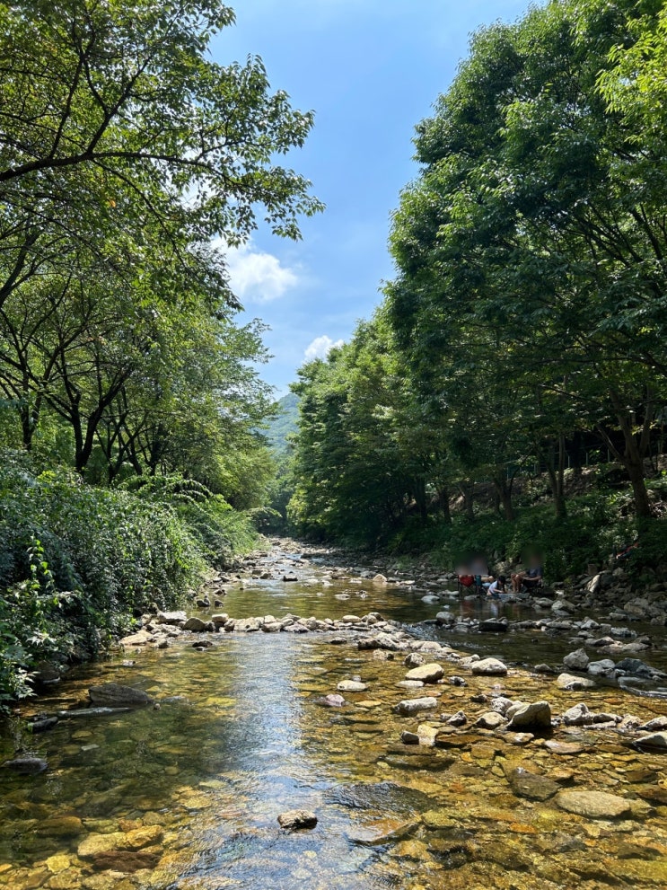 [완주] 아이들과 함께 물놀이 가볼 만한 곳 "완주 고산 자연 휴양림"