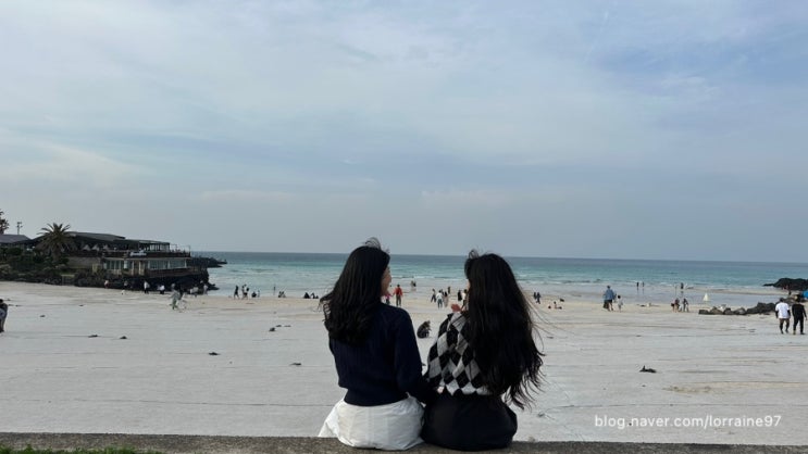  뚜벅이 제주도여행 내돈내산 버스투어 2개 비교 후기 (비추업체 후기 필독!)