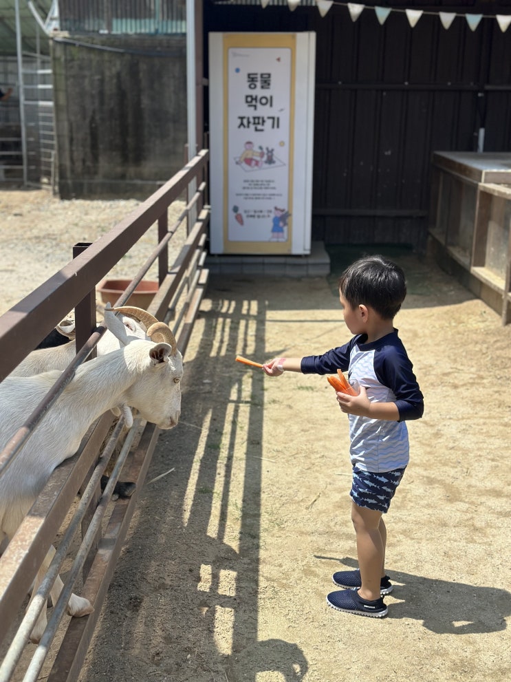  청주 더플레이 그라운드 물놀이 키즈카페 모래놀이까지! 아이와 가볼만한곳!