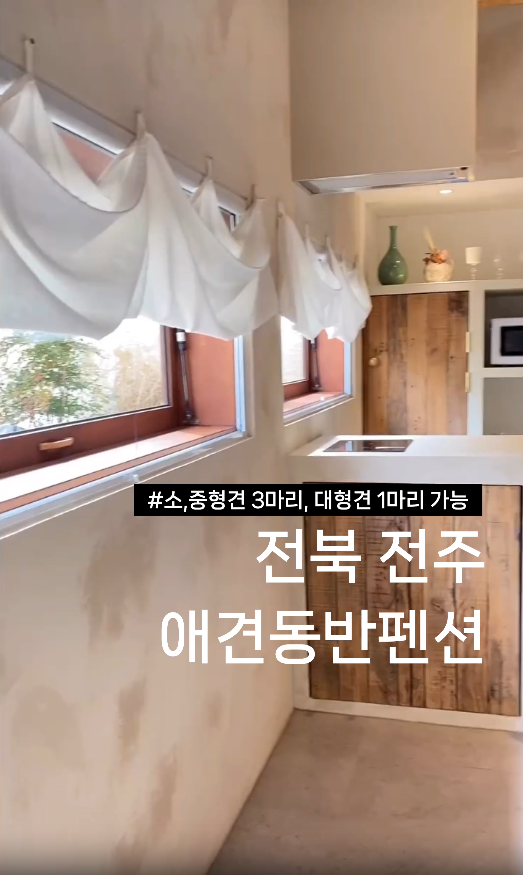 사진 2