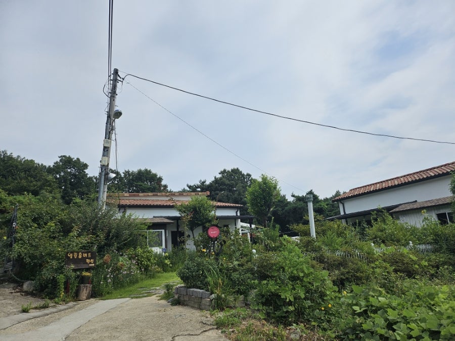 엘린휴버트펜션 사진 2