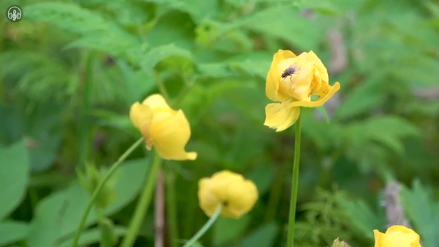  초등학생 홈스쿨링 , 혜택 바로보기