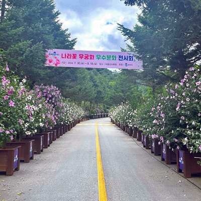 <b>광복절</b> 기념 '전국 <b>무궁화</b> 축제'